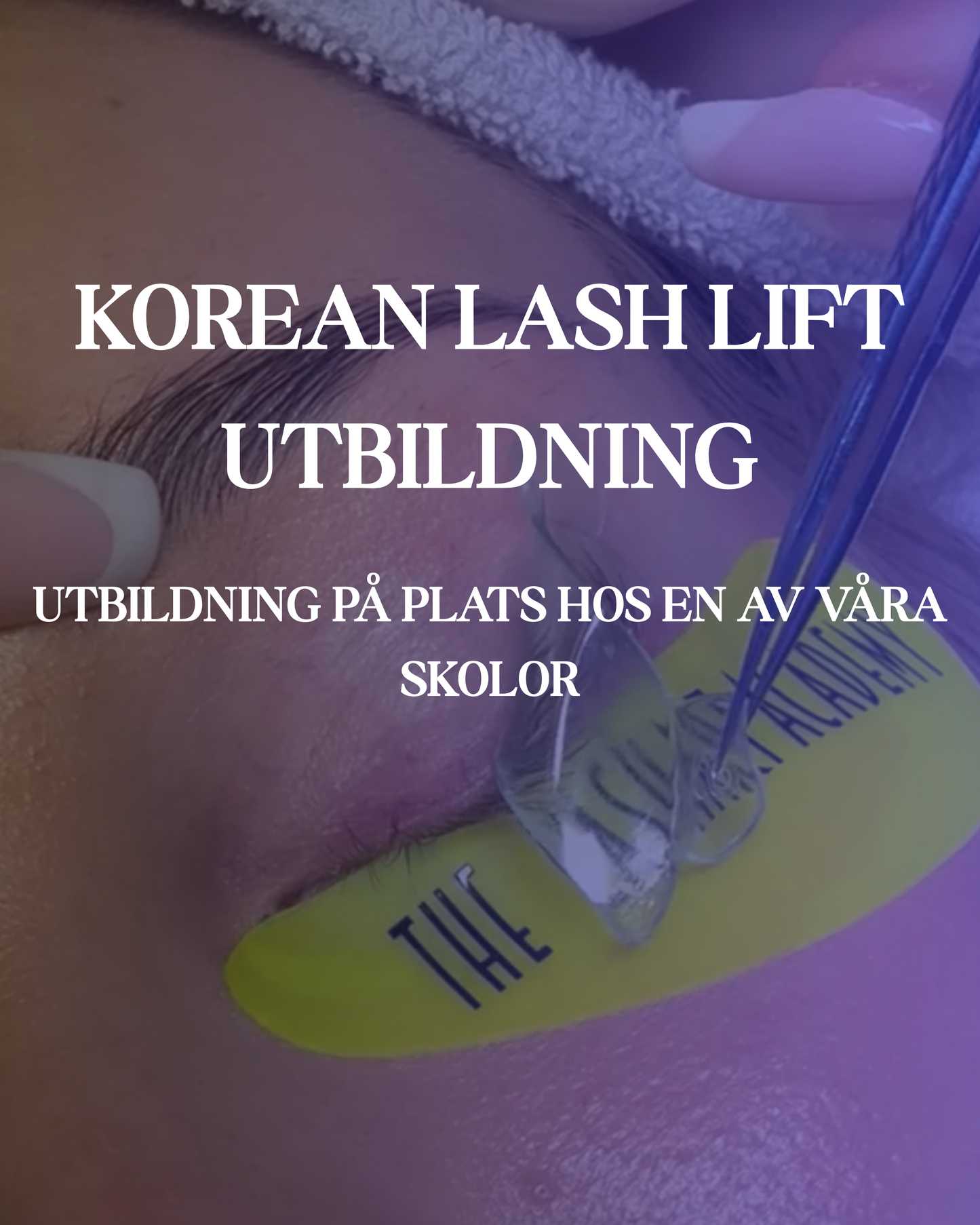 Korean Lash Lift – Vidareutbildning för certifierade stylister