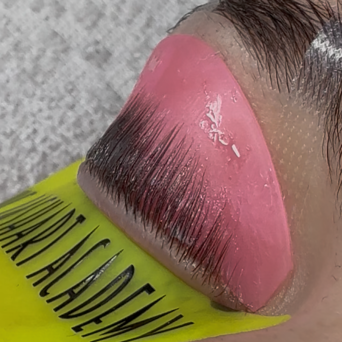 Pink Gummy korean lash lift spolar